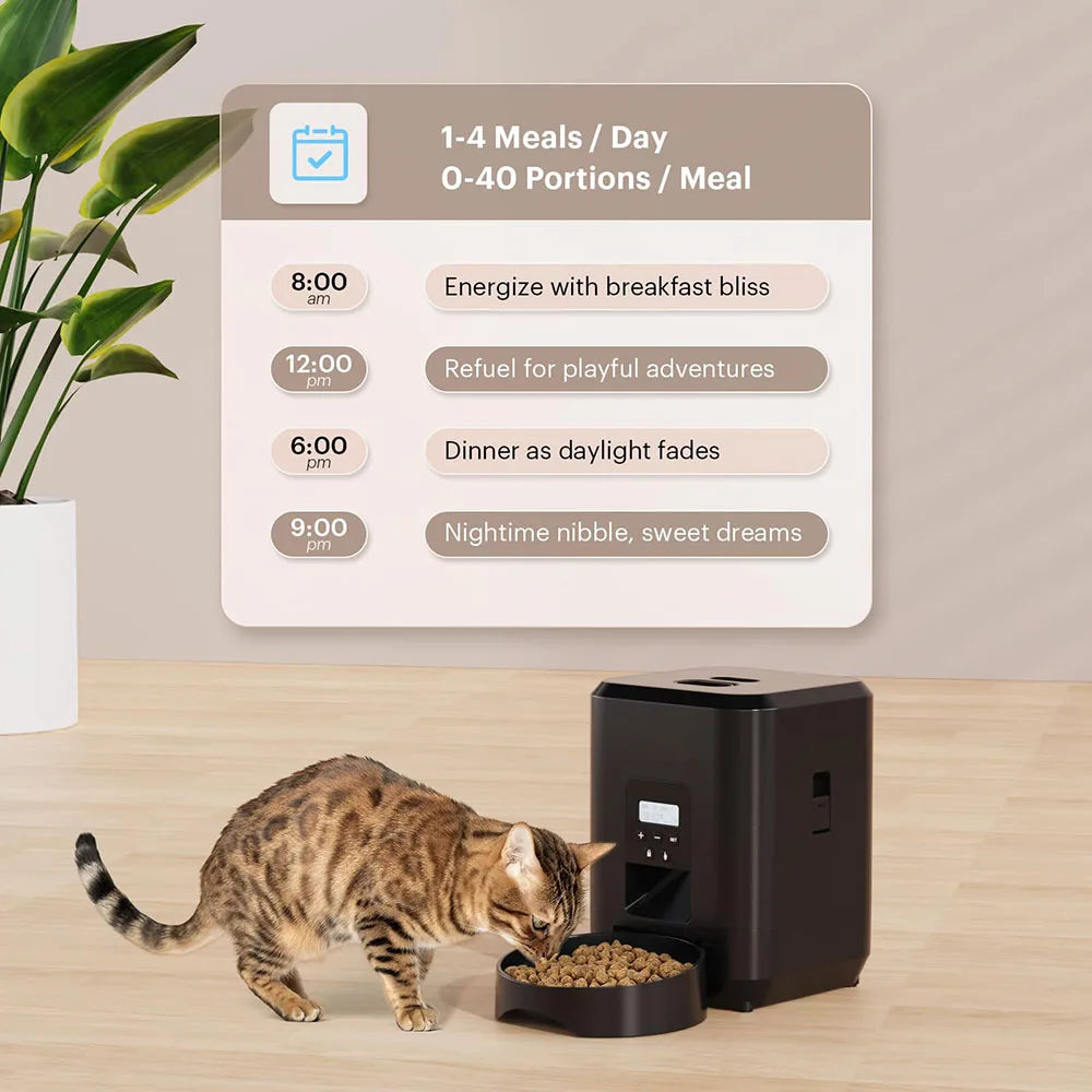 FluffyHub Routine Feeder Smart